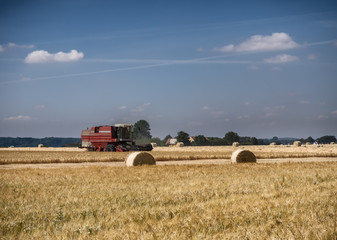 Fototapeta na wymiar Harvester on a field of barley on Hjarnoe Jutland