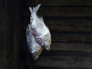 Dry salted river fish on old wooden background. 