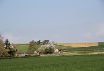 Paysage