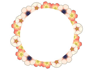 Frame of anemone and wild rose