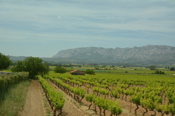 Fototapeta na wymiar Landscape in the south of France