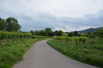 A path and landscape in Germany