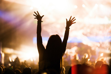 Picture of party people at music festival