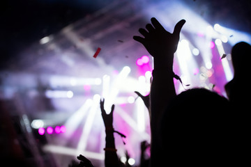 Picture of party people at music festival