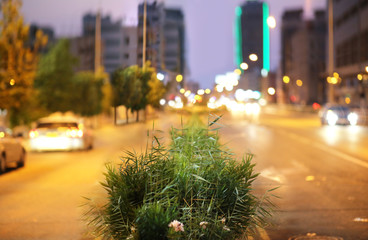 Blur traffic and car lights bokeh background