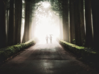 Couple walking through dark and foggy forest towards the light