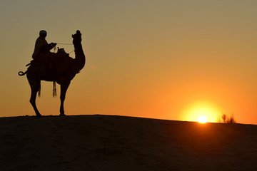 Camel and Rider.  A camel and its rider pauses in the setting sun of Jaisalmer, Rajasthan,  India