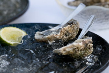 fresh raw oysters served with lemon