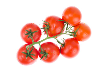 Branch of ripe red tomatoes on white background