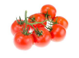 Branch of ripe red tomatoes on white background