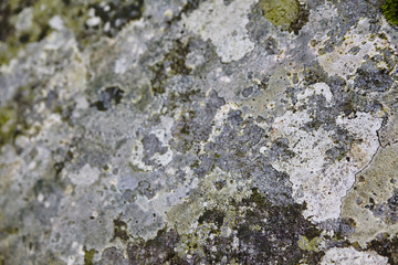 Urban Texture