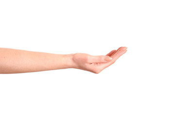 Hand gesture open up like holding something on palm isolated on white background.