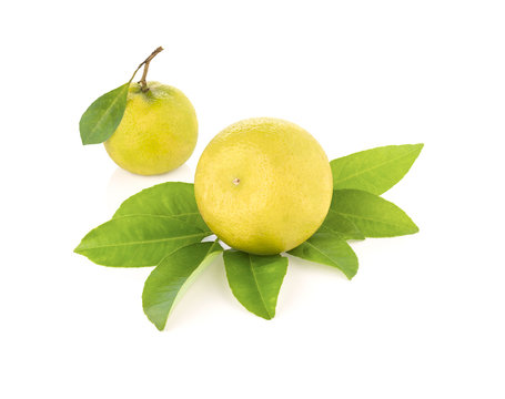 Lemon with green leafs on white background