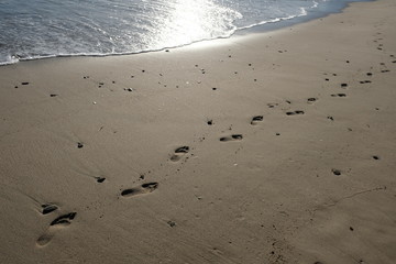 Footprints on the beach