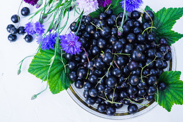 Fresh berries of black currant in a plate on a table. For a diet and saturation with vitamins