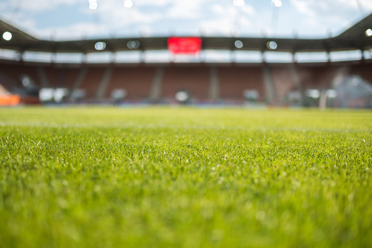 Fototapeta Grass with football stadium in the background.