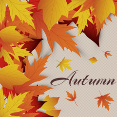 Obraz premium Vector background with red, orange, brown and yellow falling autumn leaves. Templates for posters, banners, flyers, presentations, reports. Autumn leaves. Hello, Autumn. Autumn design.