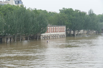 La Seine en crue, Inondations à Paris en 2016