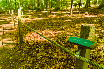 Braille trail in forest with rope and braille sign. Sign says (Resting area to the left) in Swedish. Location Omberg eco park in Sweden. - 218376044