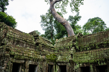 Tha Prom Castle is a stone Castleas a place of Buddhism.in Phnom Penh - Siem Reap, Cambodia.It is...