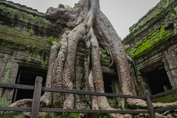 Tha Prom Castle is a stone Castleas a place of Buddhism.in Phnom Penh - Siem Reap, Cambodia.It is...