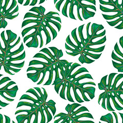 Seamless tropical pattern with monstera leaves vector background. Perfect for wallpapers, pattern fills, web page backgrounds, surface textures, textile