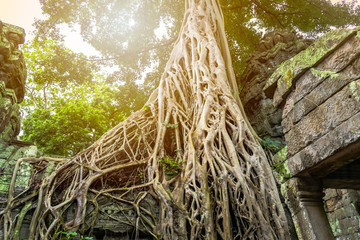 Tha Prom Castle is a stone Castleas a place of Buddhism.in Phnom Penh - Siem Reap, Cambodia.It is...