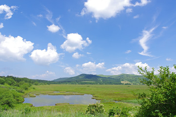 夏の八島湿原