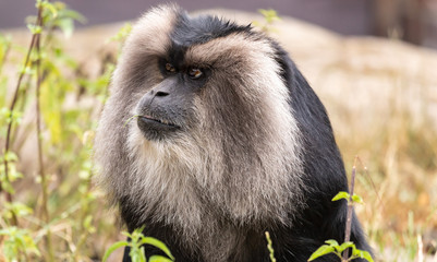 Zoo