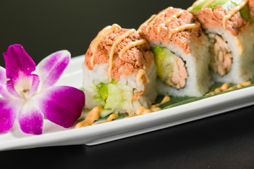 Sushi on a white plate