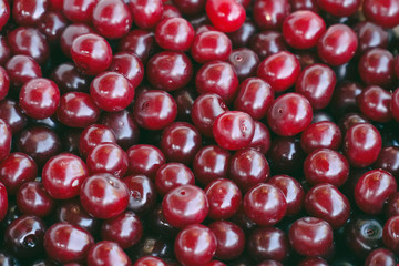 Many ripe cherry berries