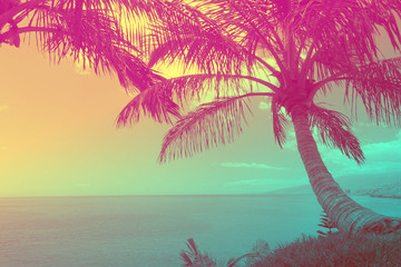 Beautiful tropical ocean with palm trees at sunset. Travel background with retro vintage duo-tone 90's style.