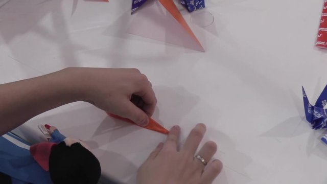 Person folding Tsuru
