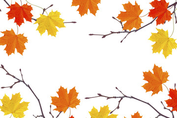 Naklejka na ściany i meble Autumn background with bright colorful leaves.