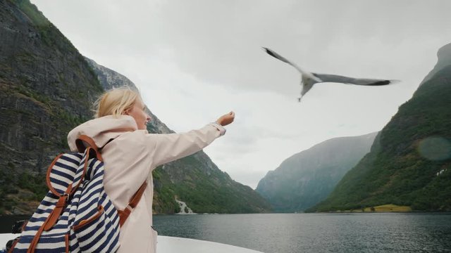 A woman is feeding a gull that flies by. Trust and tame the concept. Journey through the fjords of Norway