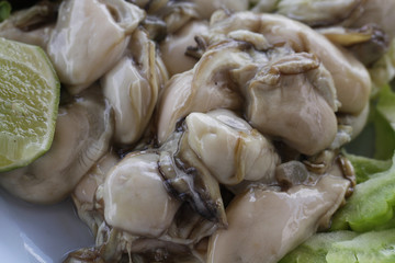 group of raw fresh pacific european big Oysters / Close up jelly animal at seafood restaurant, uncooked food unpearl oysters, delicious recipe menu with fresh vegetable and lemon