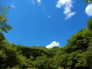 鍋割山からの景色