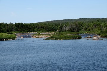 landscape around the Irish Loop; view along the shores of the Renews River; Avalon peninsula Newfoundland Canada