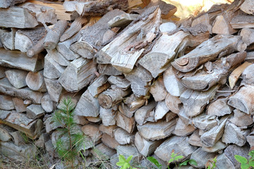 Gespaltenes Holz