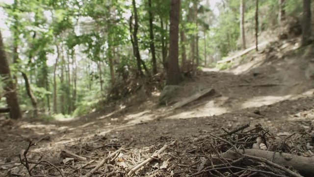 Downhill riders in a steep curve in a forest