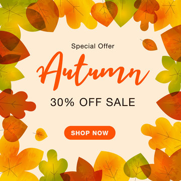 Autumn special offer sale background with colorful fall leaves and call to action button. Easy to use for your website or presentation.