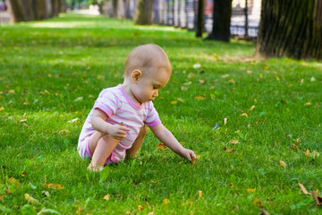 baby girl collecting leaves lying on grass in park