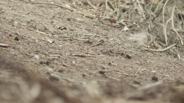 Downhill Rider drives in a curve, close up of tyres