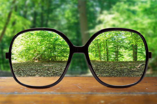 Brille mit unscharfem Wald im Hintergrund