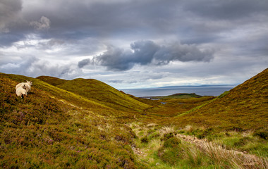 Trail landscape to quiraing on the isle of skye scotland nature