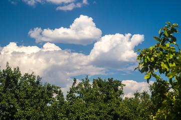 Fototapeta na wymiar nature sunny summer day with blue sky and white clouds