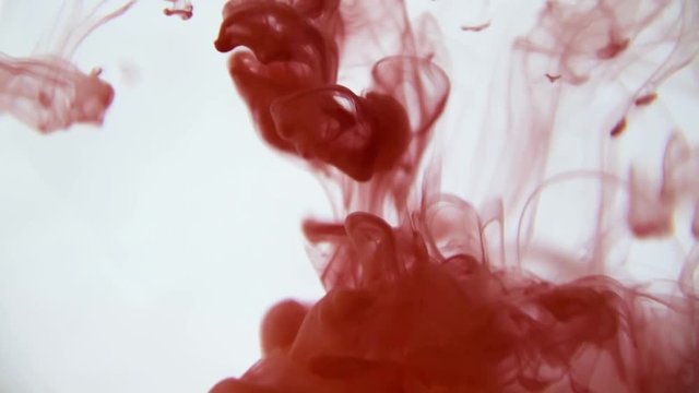 Red ink in water. Colorful red paint drops from above mixing in water, swirling softly underwater.  Slow Motion. 
