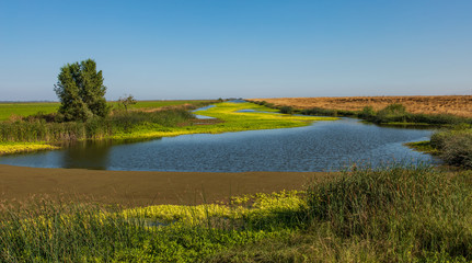 Wetlands and canel in Sacramento farm land with yellow flowers