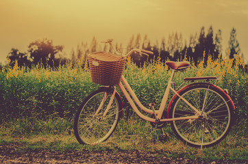 Obraz premium Bicycle in the garden Vintage tone