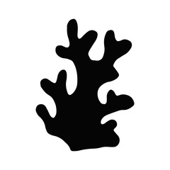 seaweed kelp isolated object. marine plant